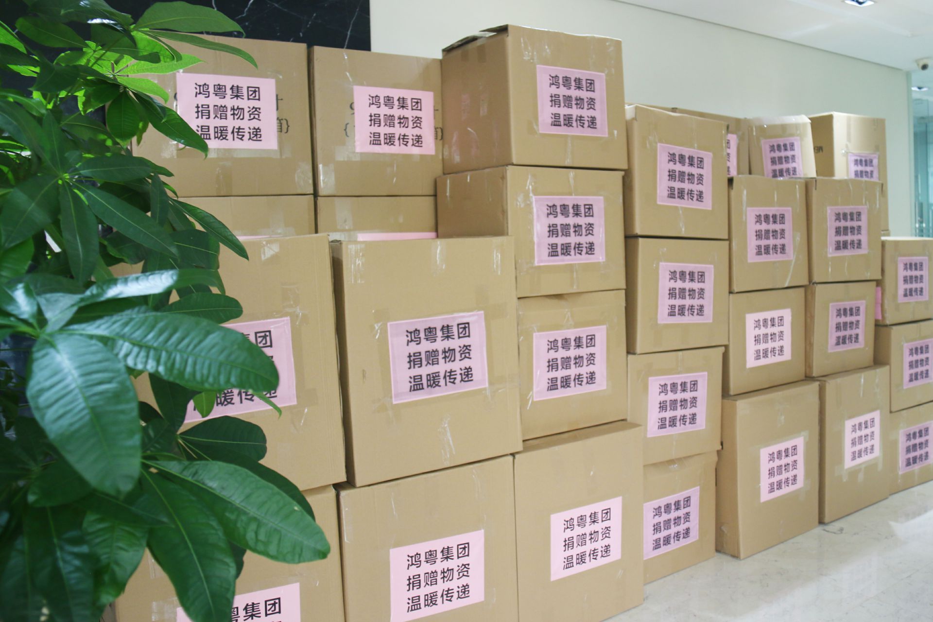 重庆承泽城市绿化发展有限公司公益回顾丨家国同欢月同圆 温暖满载甘孜州(图1)